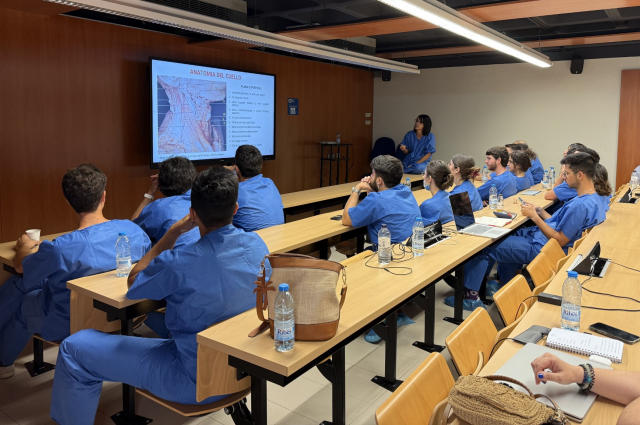 Curs de cirurgia vascular HUB