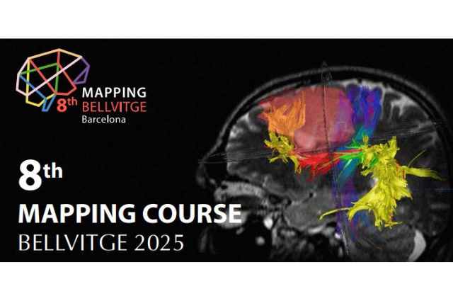 8th mapping course bellvitge 2025