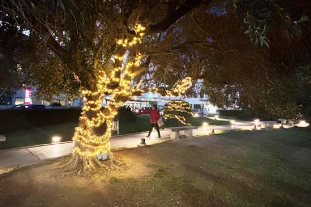 L’encesa de llums obre la celebració del Nadal a l’Hospital de Bellvitge
