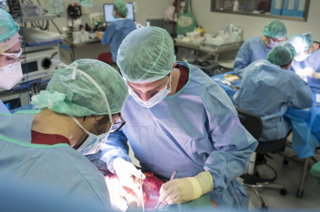 L’Hospital de Bellvitge torna a liderar els trasplantaments cardíacs, els renals i la donació d’òrgans i teixits a Catalunya en 2025