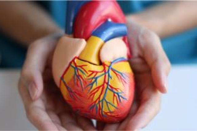 Conferència Dr. Ariza HUB