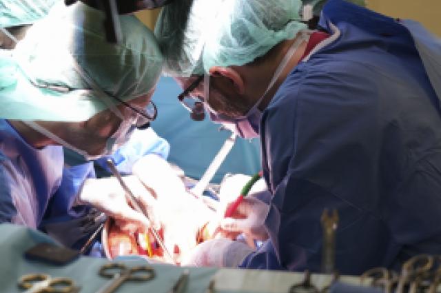  L’Hospital de Bellvitge realitza per 1a vegada a l’Estat dos casos amb doble by-pass (venós i arterial) per extirpar càncers de pàncrees fins ara inoperables