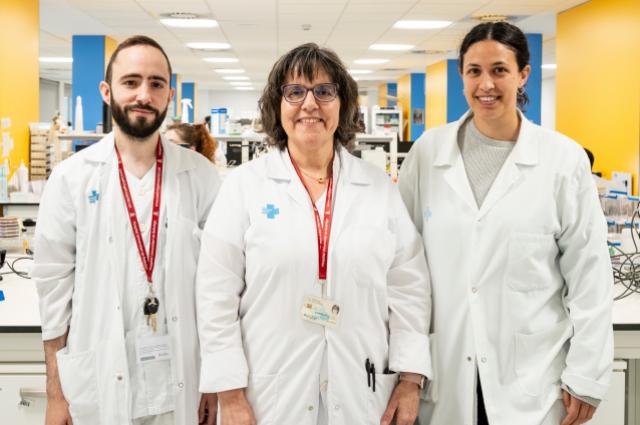 Un estudi avalua les resistències als antibiòtics en estreptococs d’animals a Catalunya