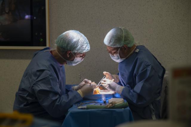 Cinc donants, vint-i-tres vides: la fita de l’hospital de Bellvitge en només cinc dies