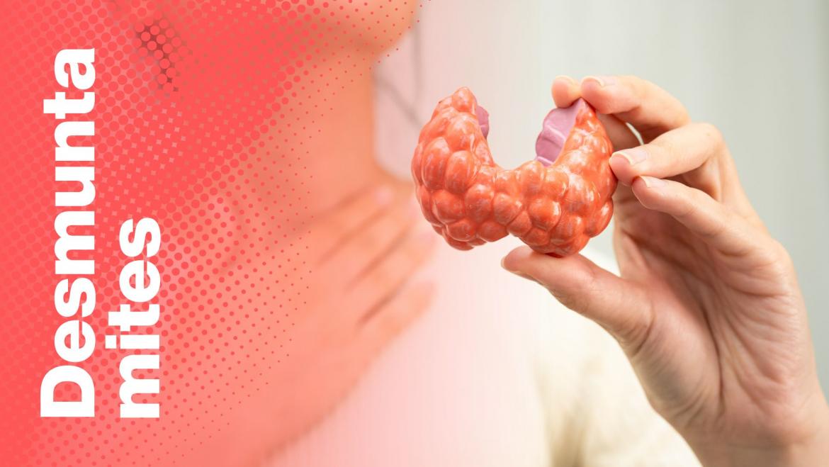 desmuntamites tiroides