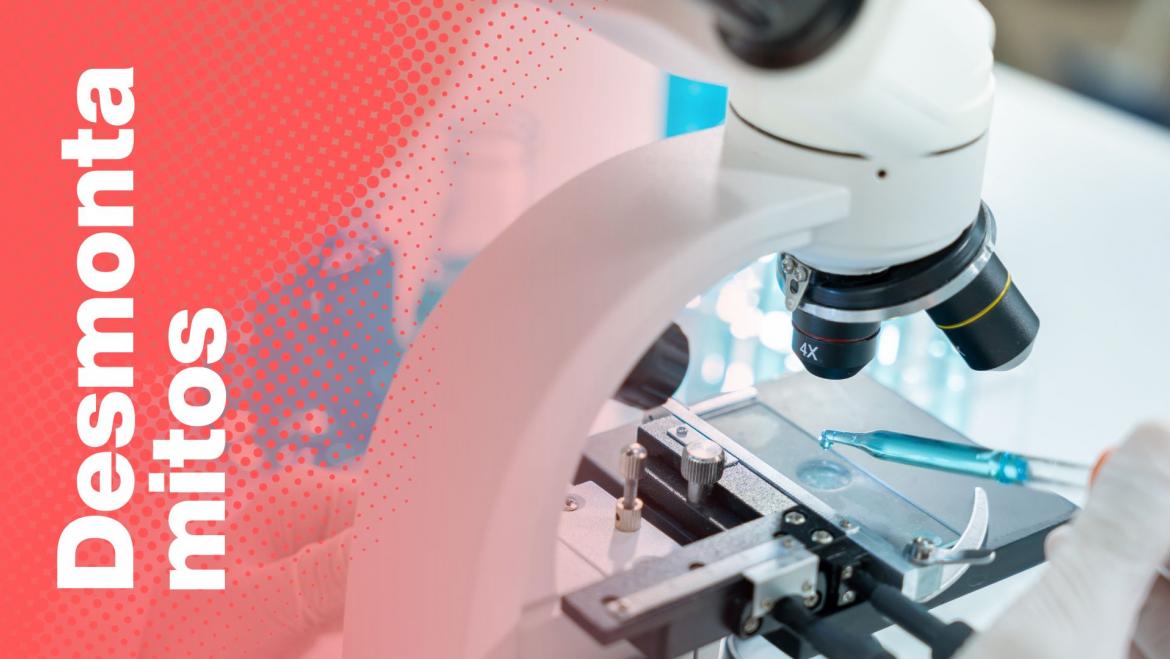 desmuntamites estudis genètics castellà