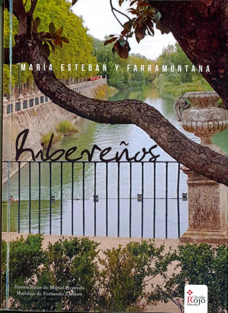 RelatHos HUB - Esteban 