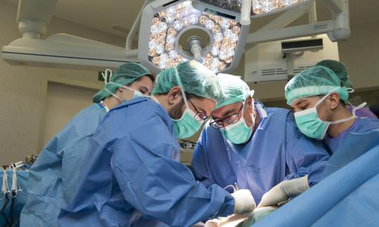 Los trasplantes vuelven progresivamente a la normalidad en Bellvitge tras la pandemia