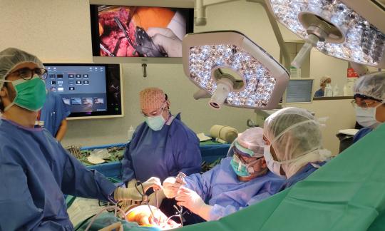 El Servei de Traumatologia - Sèptics fa una innovadora cirurgia a mida de pròtesi de maluc amb impressió 3D