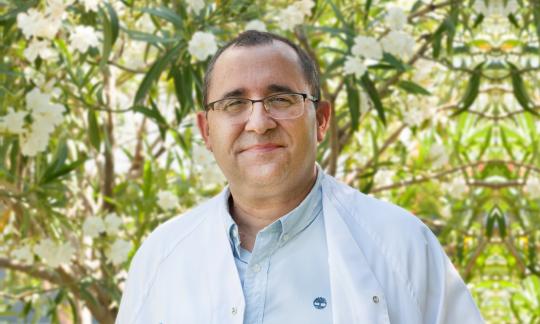 Fernando Fernández-Aranda has been appointed as the new scientific director of IDIBELL