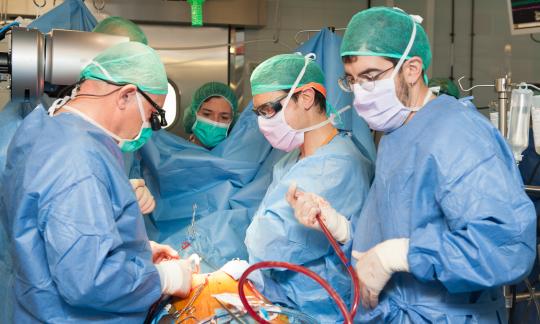 Bellvitge University Hospital was once again the leader in 2020 in long-term ventricular assistances in Spain