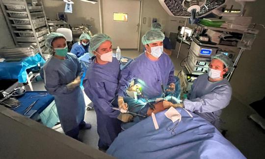 El XVII Curso de Cirugía Bariátrica y Metabólica aborda los últimos avances en la especialidad