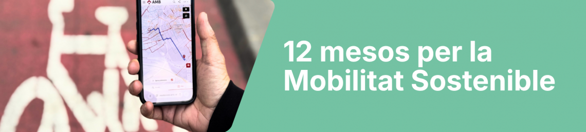 12 mesos