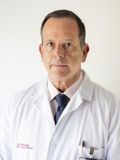 Alvaro Arcocha HUB