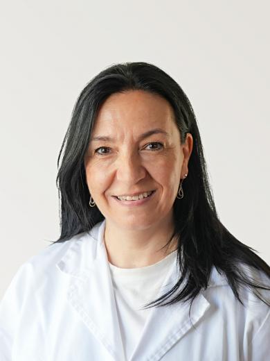 Equip Directiu HUB