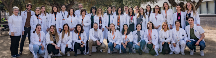 ICO Radioterapia HUB